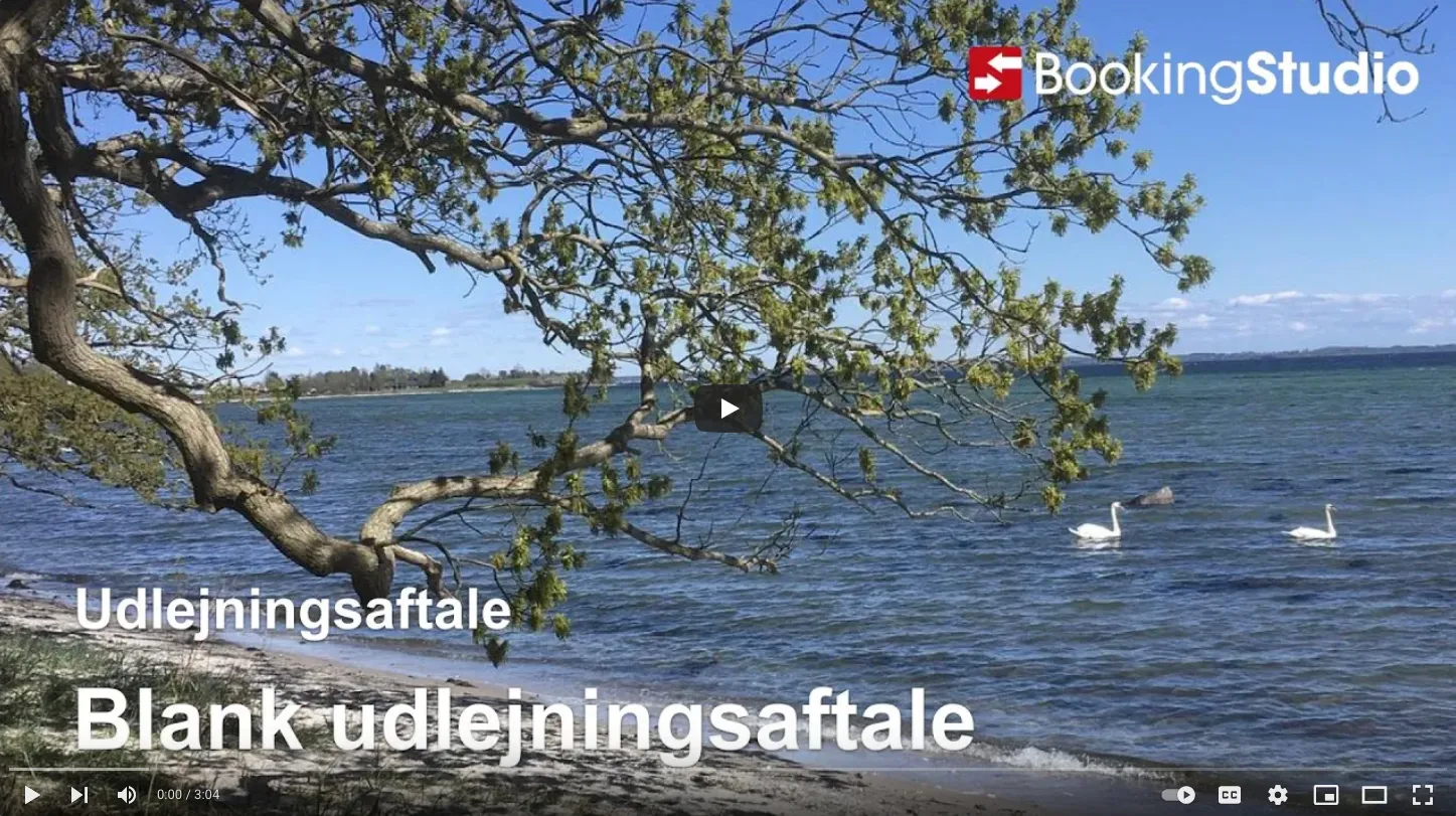 Gennemgang af en blank udlejningsaftale