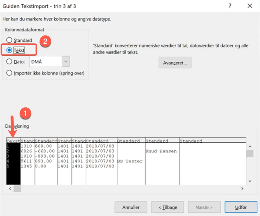 Hent csv filen ind i et Excel ark
