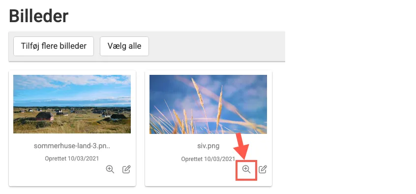 Se billede i slideshow mode