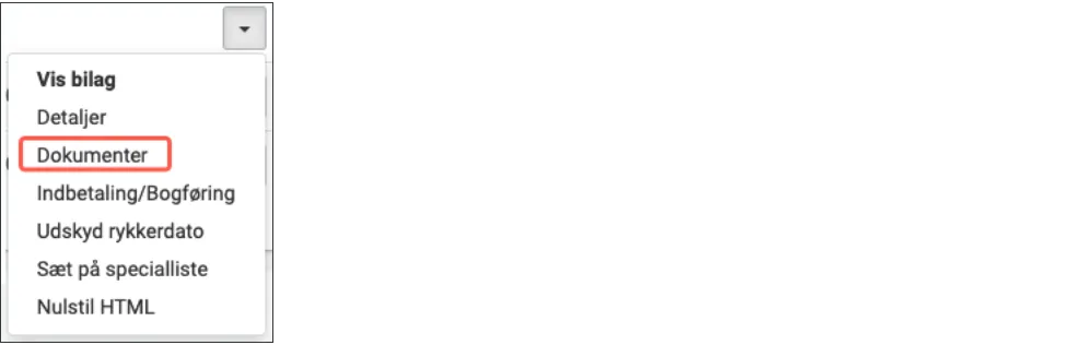 dokument til debitor