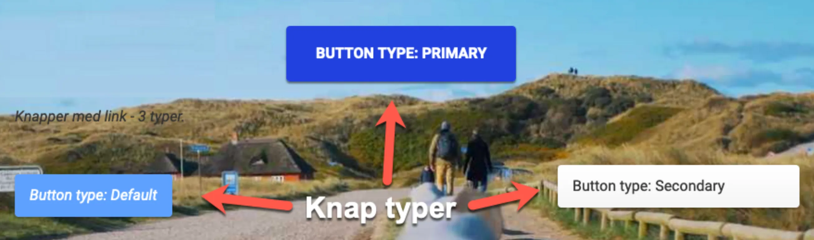 Nav button