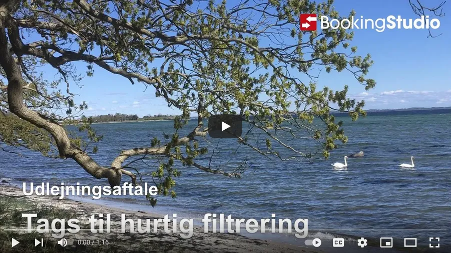 Gennemgang af en blank udlejningsaftale