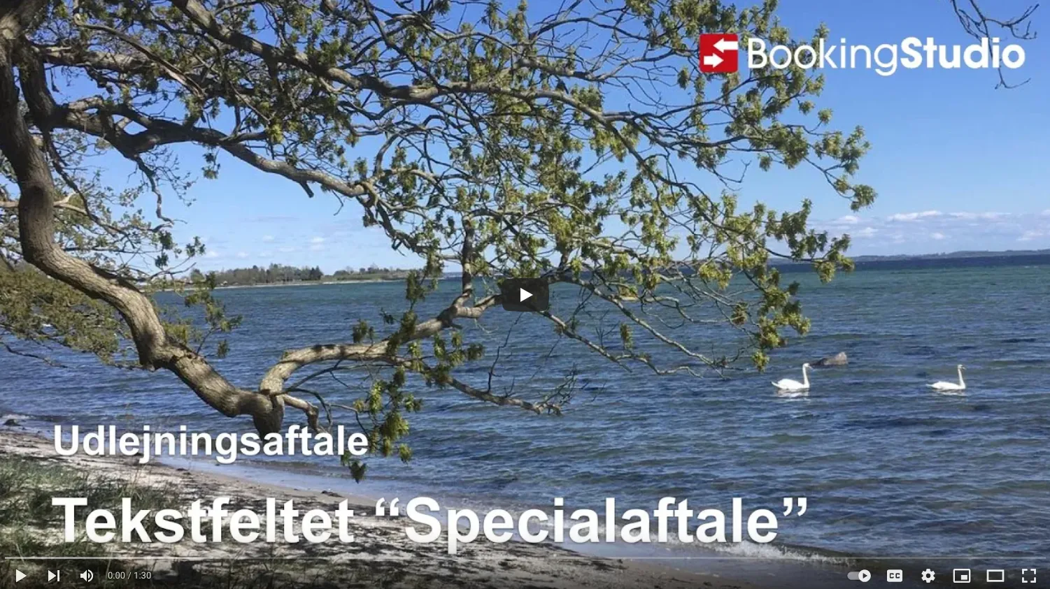 Tekstfeltet "specialaftale med udlejer"