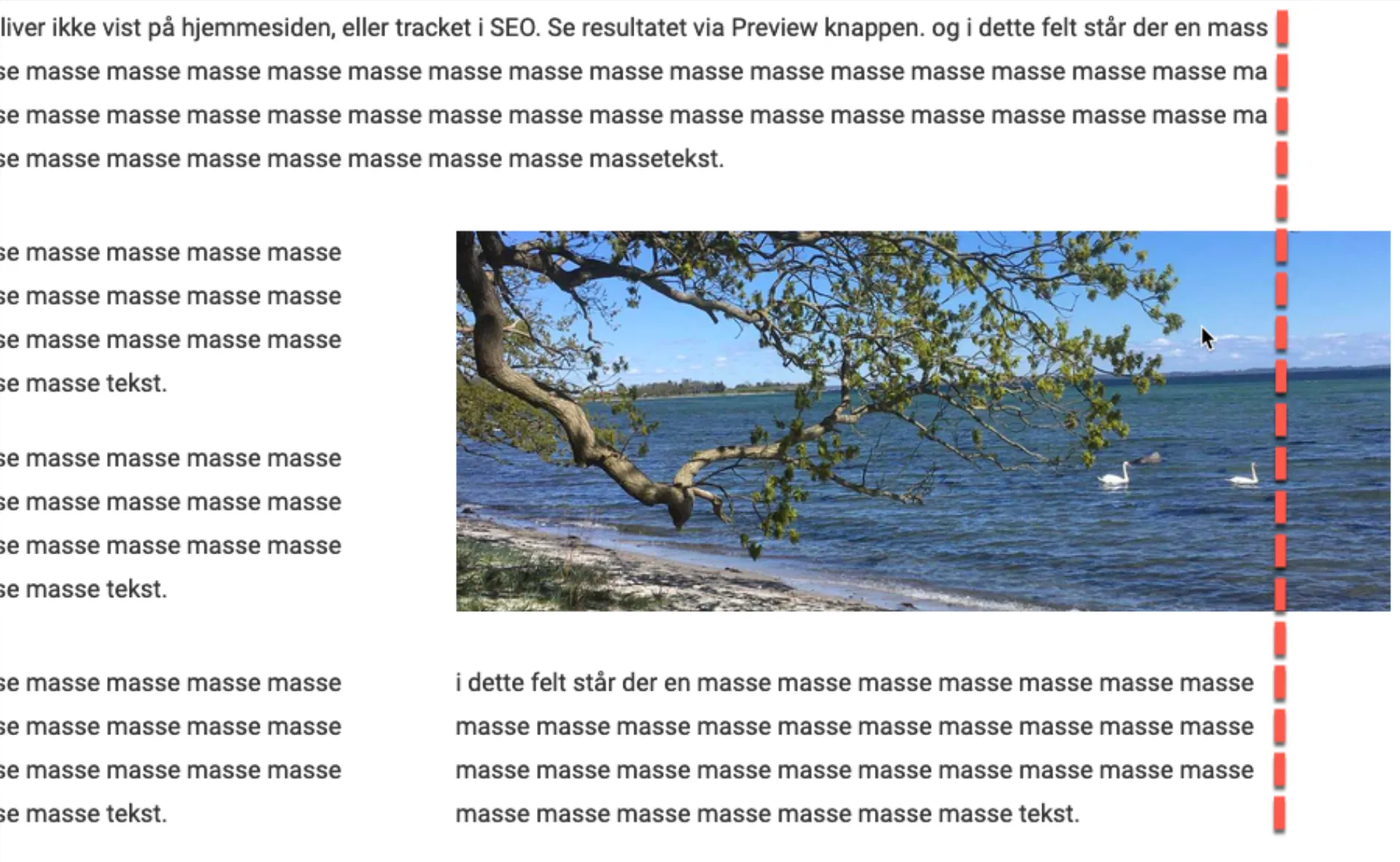 Breakout image udseende på hjemmeside