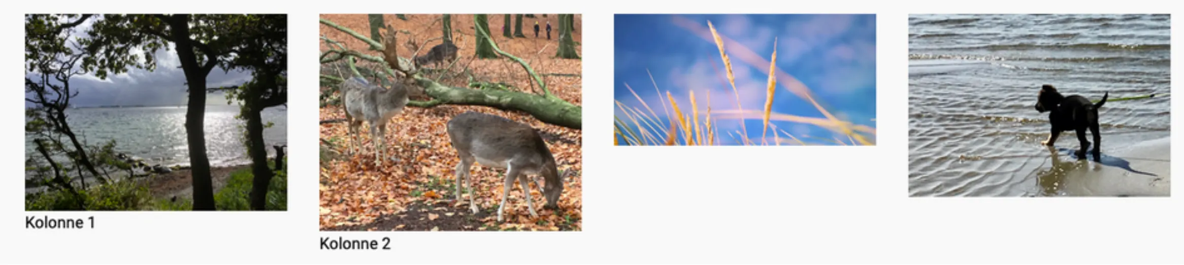 Billeder tilpasser sig