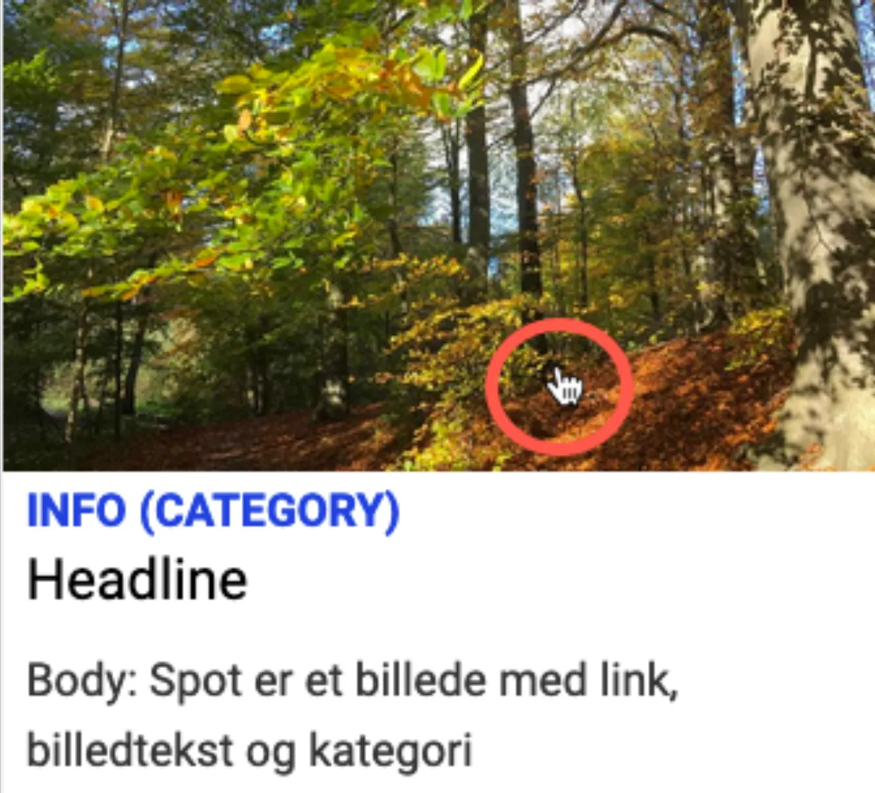 Et spot på hjemmesiden