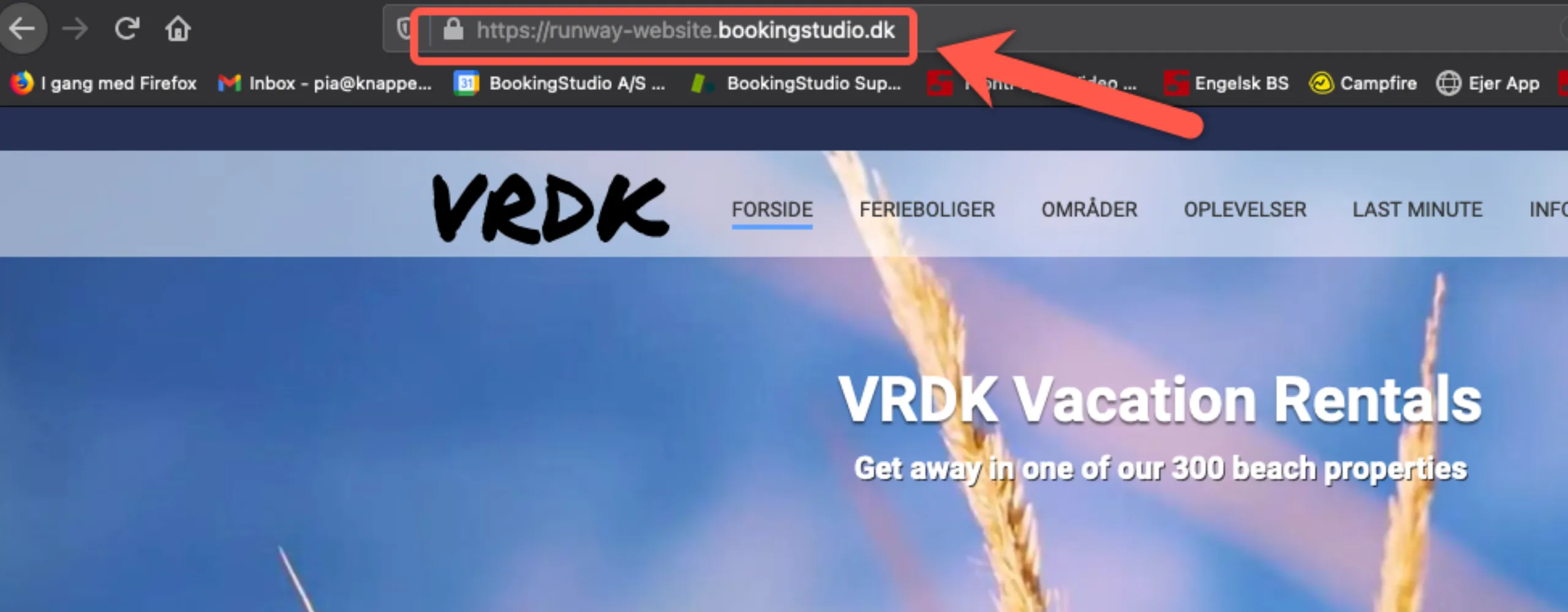 Eksempel på udviklingssite