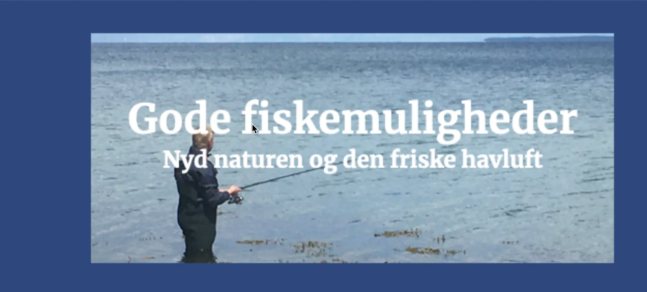 Baggrundsbillede i kolonne