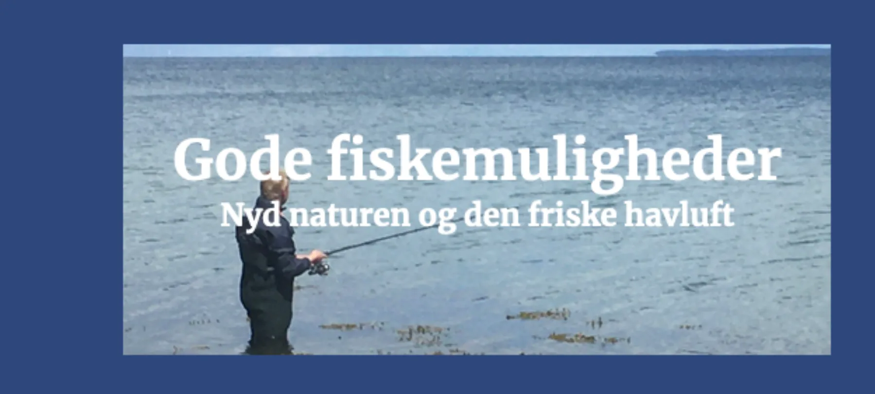Billede i baggrund af kolonne